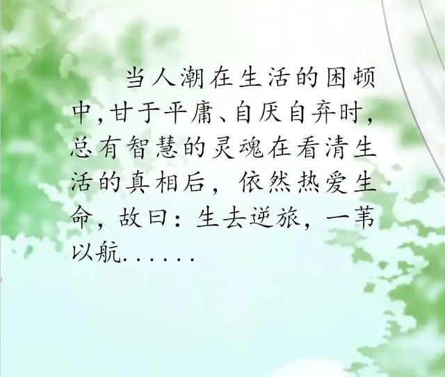 适合写进作文的神仙句子 满分作文神仙开头排比句