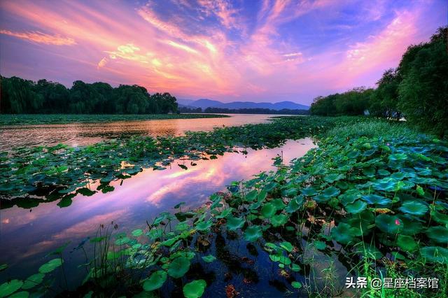 骄傲的狮子座，阴郁的阳光，笑容里藏满了悲伤（狮子座和天秤座）插图4