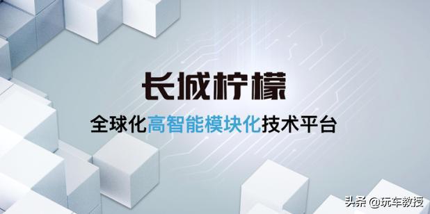 柠檬平台打造，推出6款配置可选，哈弗初恋购车手册