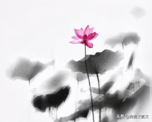 爱莲说作者是谁（北宋·周敦颐《爱莲说》赏析）