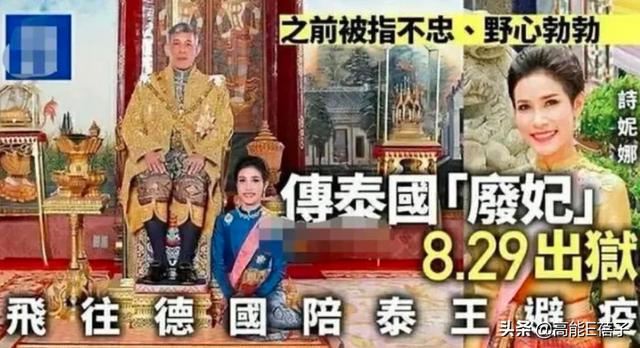 爱情岛论坛观看路线