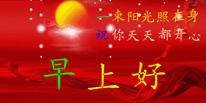 情人节送女孩礼物明日情人节,214朵玫瑰送给亲爱的朋友,祝你们情人节快乐