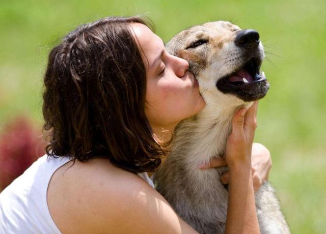 Ways To Judge A Good Dog S Life Look At These Places Daydaynews