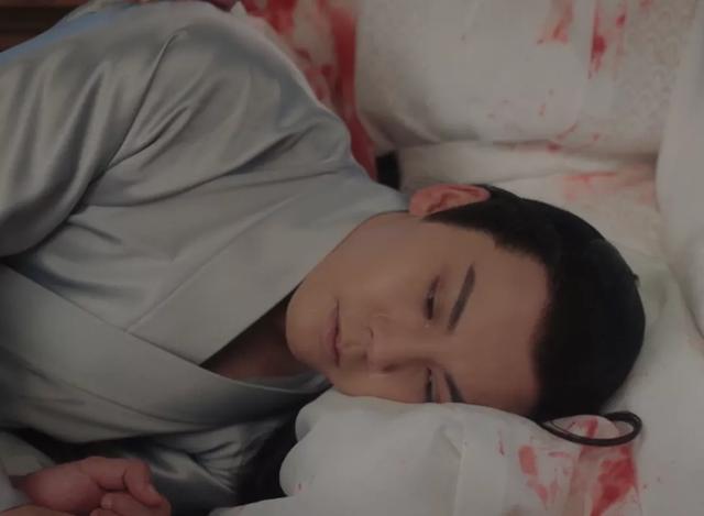 斛珠夫人剧情介绍（斛珠夫人大结局怎么样）