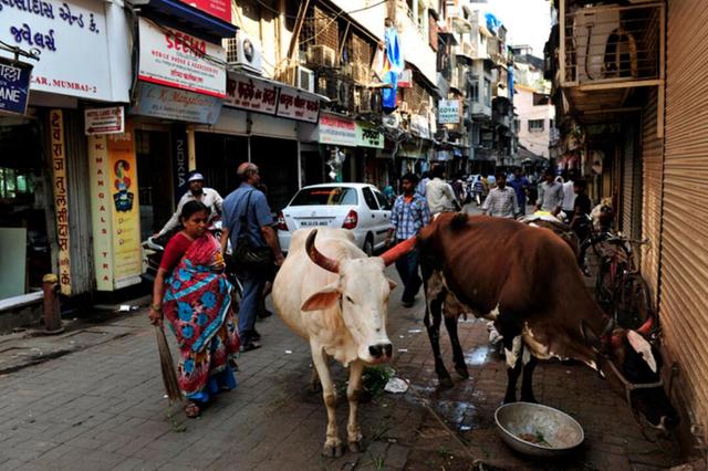 印度真的比中国落后吗（为什么印度那么落后）