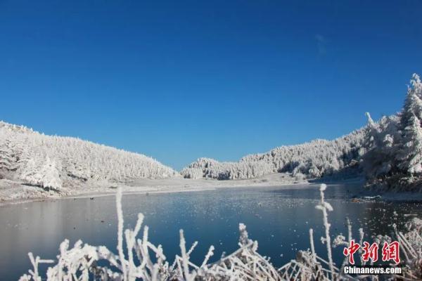 11月6日是什么星座(11月6日是什么星座男生)插图4