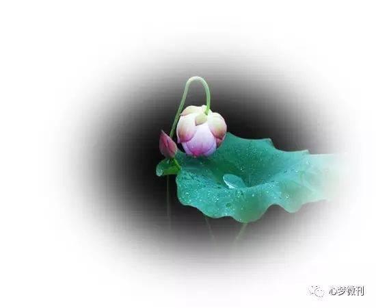 崔中华 | 微信生活