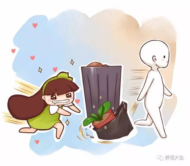 把扔掉的龙骨捡回家,这样一处理,蹭蹭长满盆!