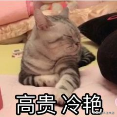 港股打新入门攻略,错过损失一个亿
