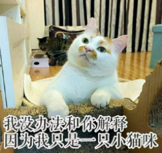 带6亿给地府发年终奖，没人比梦幻精灵更懂玩家