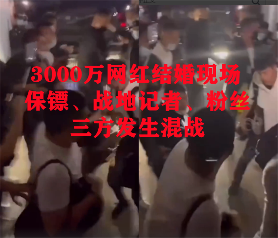 广西陈三废背景资料:陈婷、陈宇富/陈橙