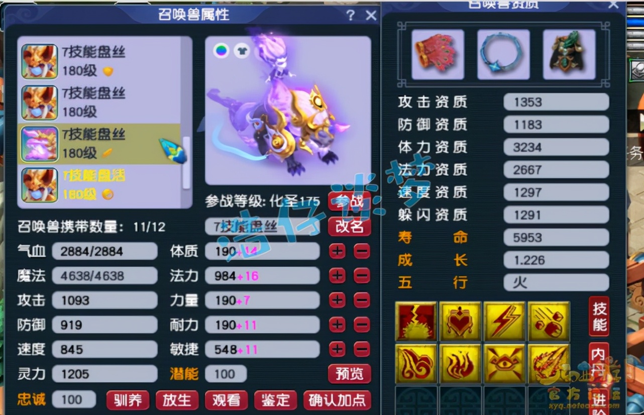 梦幻西游：175极品服战号，愤怒5特技加身，方寸女儿随便转