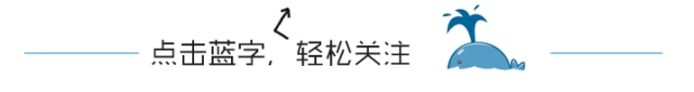 滁州镇江抖音代运营公司(快来！我们招人了)  第1张