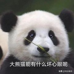 港股打新入门攻略,错过损失一个亿