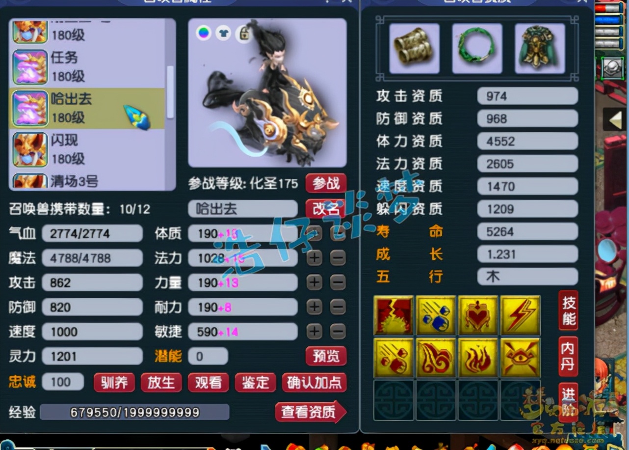梦幻西游：网红区的175化生，全身愤怒5特技，华山的“香饽饽”