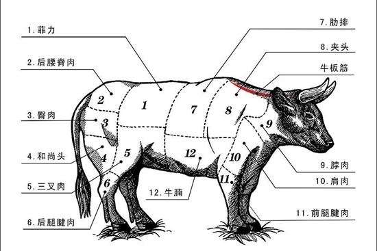 小考"椎牛"宰杀方式,中国古代发明的一种科学,人道的屠杀方式