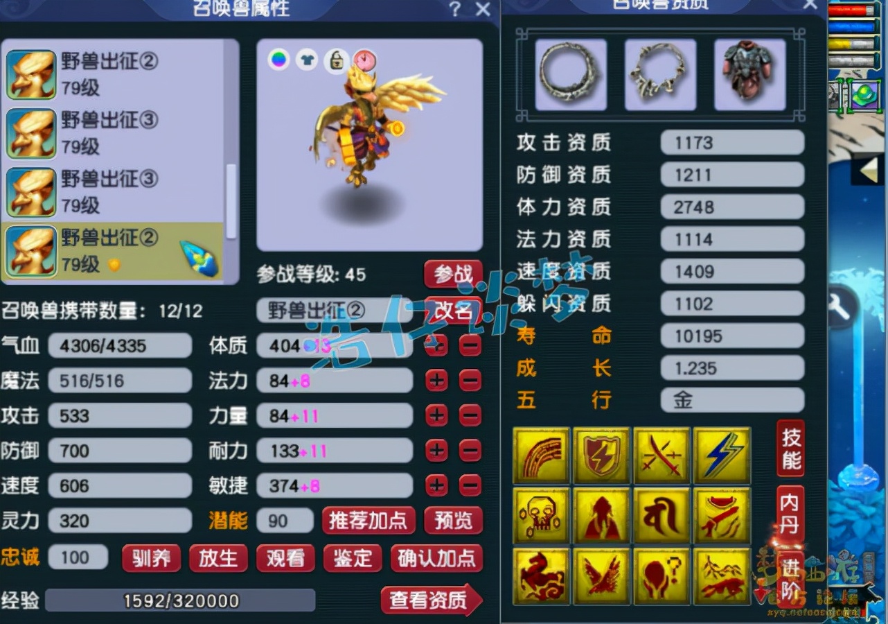 梦幻西游：69顶级花果山9件无级别，12只宝宝碾压服战宠，天花板