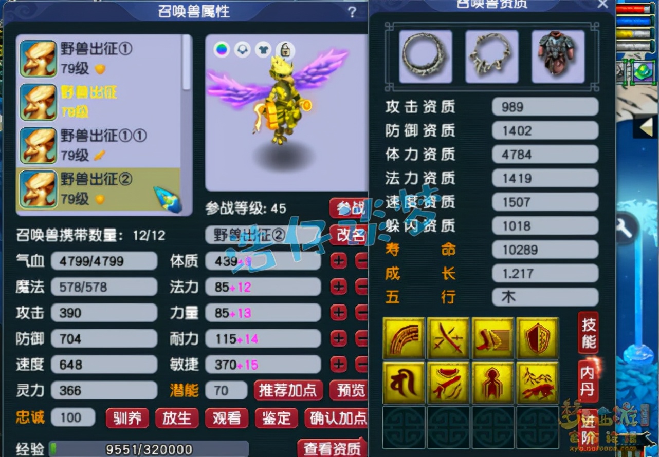 梦幻西游：69顶级花果山9件无级别，12只宝宝碾压服战宠，天花板