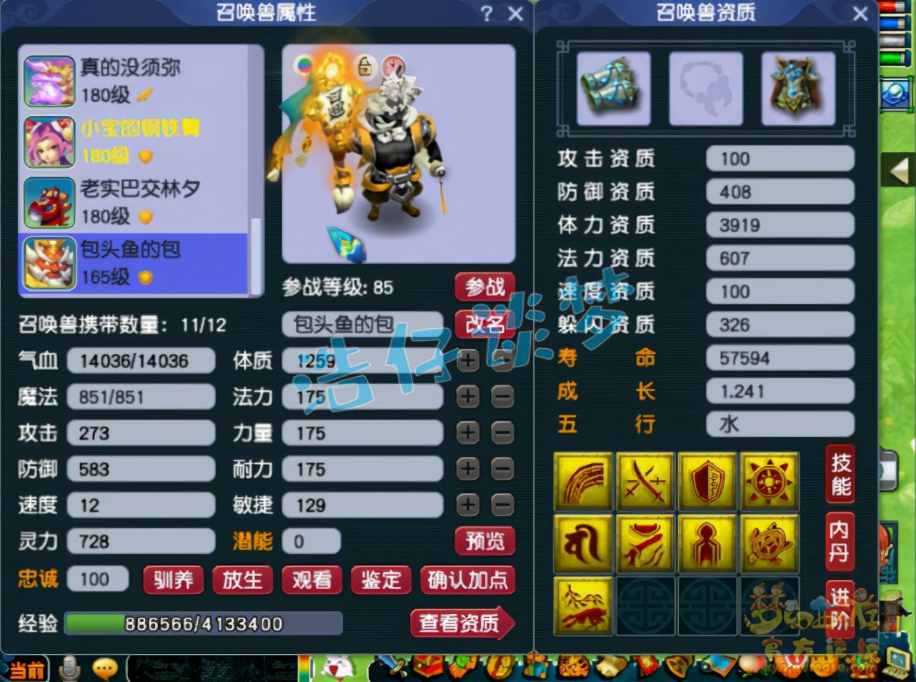 梦幻西游：175顶级狮驼，变身+满天两套极品装，剑会、服战随便打