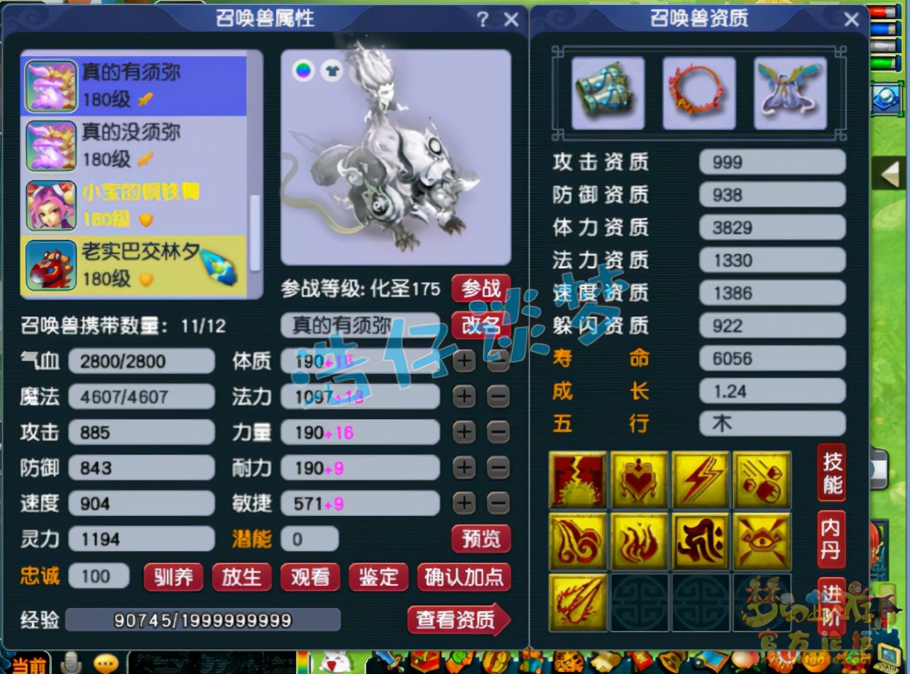 梦幻西游：175顶级狮驼，变身+满天两套极品装，剑会、服战随便打