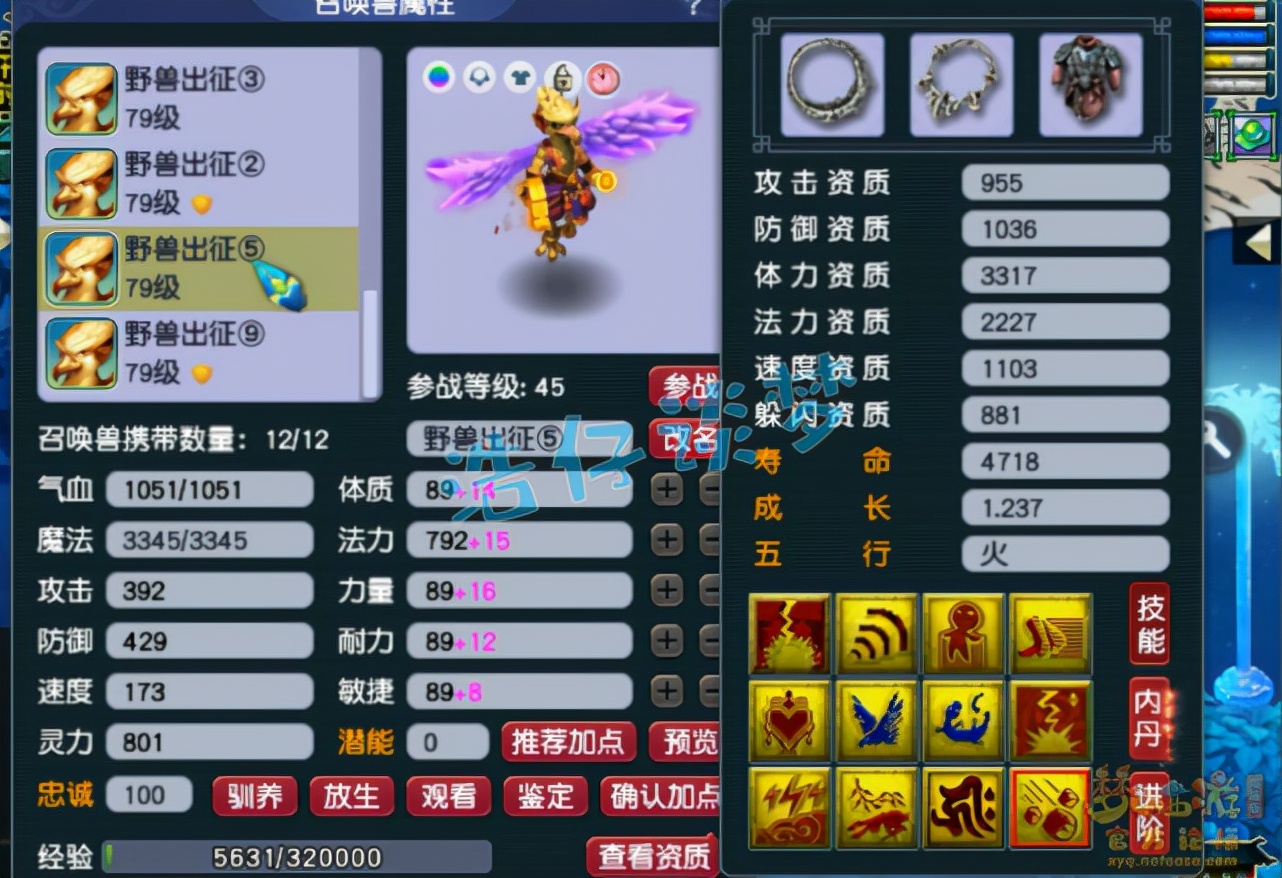 梦幻西游：69顶级花果山9件无级别，12只宝宝碾压服战宠，天花板