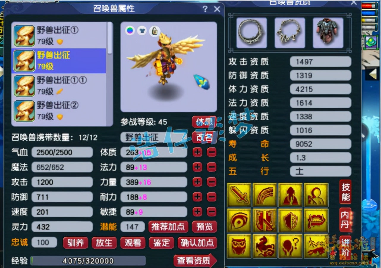 梦幻西游：69顶级花果山9件无级别，12只宝宝碾压服战宠，天花板