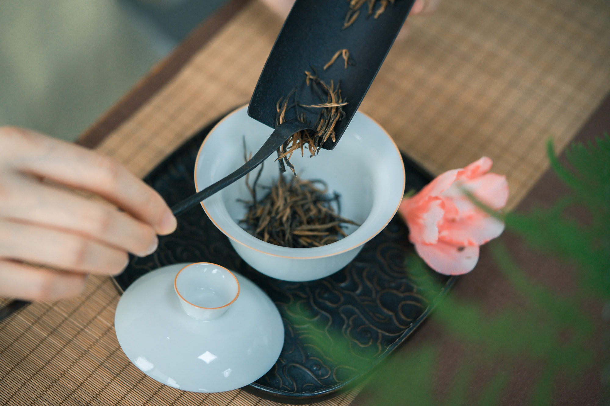 小喜年-说到云南的茶叶，你首先想到什么？