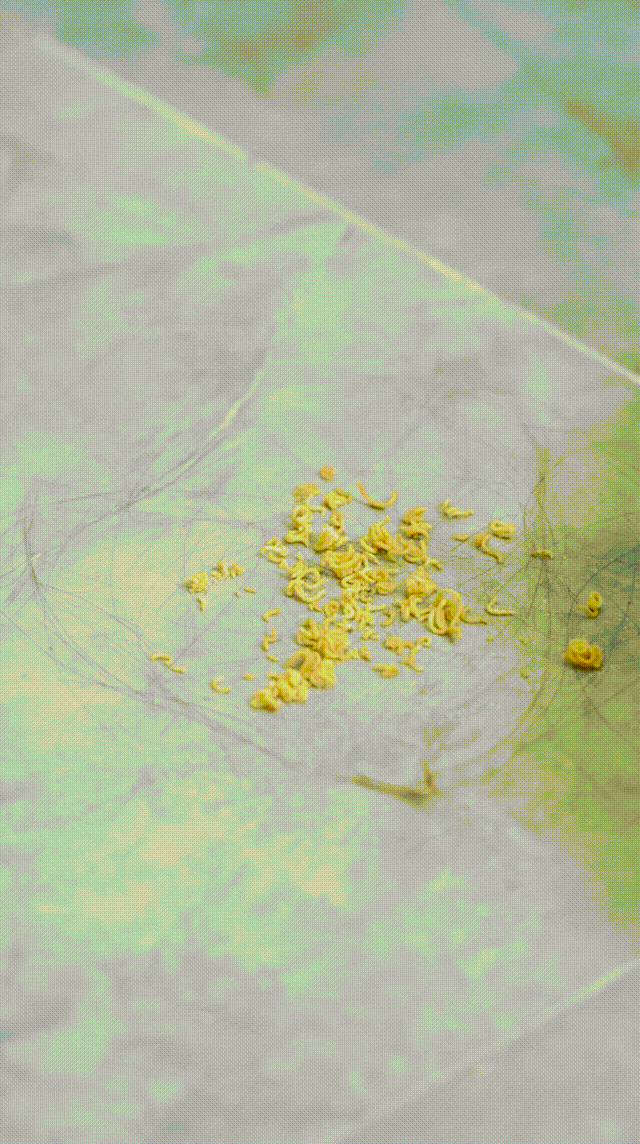 洁净一步到位，追觅扫拖洗烘清洁机器人W10，家务好帮手