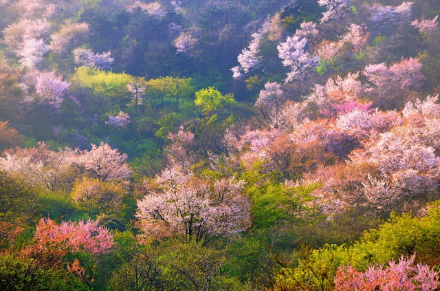 新县 穿越四季 领略金兰之美