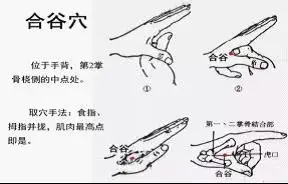 带你走近神奇的自血疗法