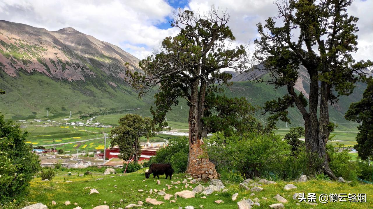 热振寺已有千年历史,是噶当派的祖寺,后又出了最著名的弟子宗喀巴