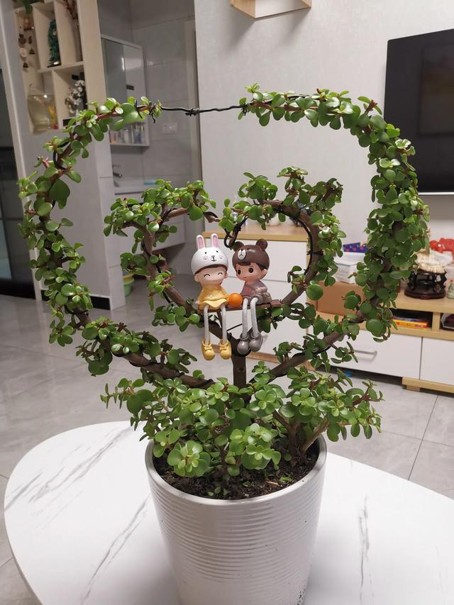 给金枝玉叶造型,一棵变多棵!有过程,有惊喜!看你喜欢哪一种?