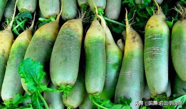 Ϊʲô����Ҫ����ܲ����ܲ���ô���ó��ּ�(2)