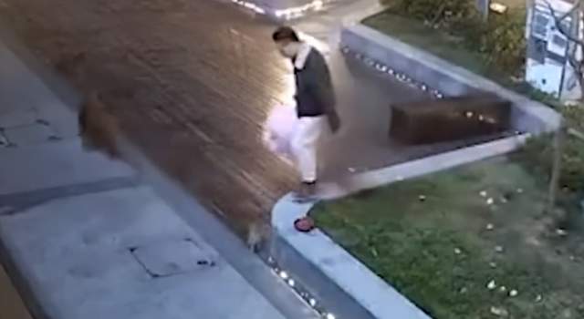 晚报|神十三航天员将再次出舱 美赴华航班中途返航