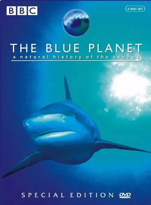 《蓝色星球》——BBC史上最美纪录片