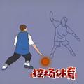 控场体育