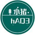 小猪hAQ3