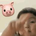 迈阿密蔡蔡