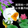 环小辰爱体育58