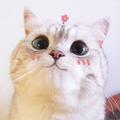 o晴天oo
