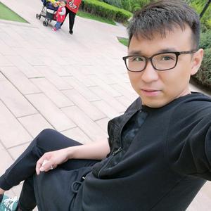 真扬体坛演义