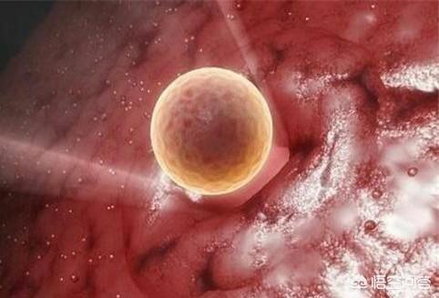 備孕期間，如何知道受精卵有沒有着牀呢？