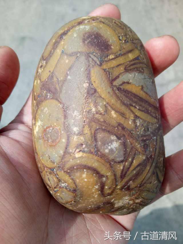 鱼籽石怎么打磨,鱼籽石是不是很稀有,鱼籽石是青石吗_大山谷图库