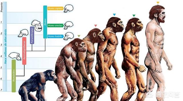 人世间最高等的生物_高等世间生物人物图片_《高等生物》