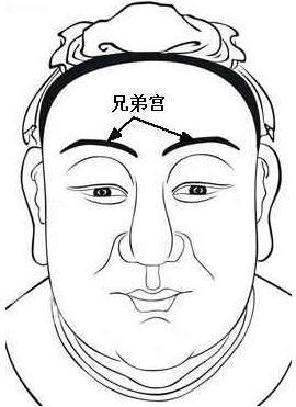 精舍和光殿指什么位置 精舍和光殿指什么位置