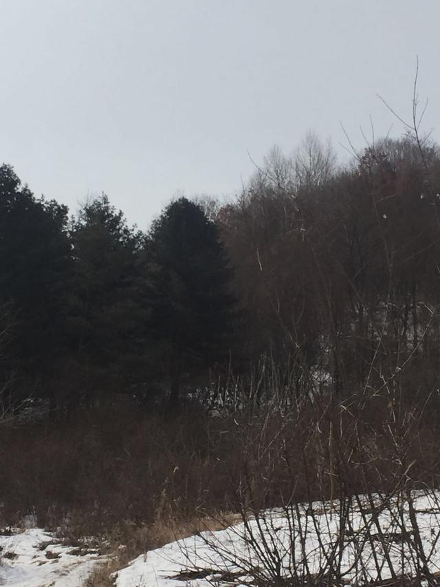 墓地里有石头怎么办
