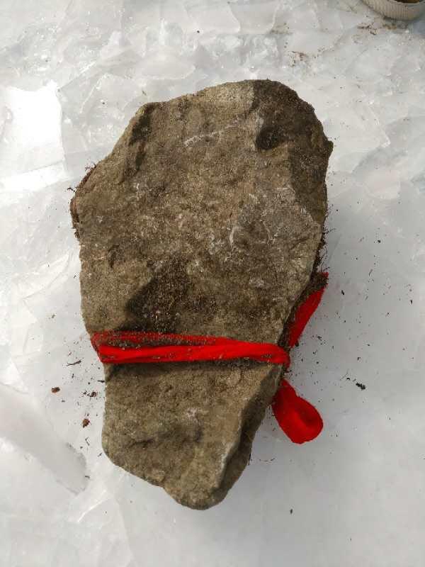 墓地里有石头怎么办