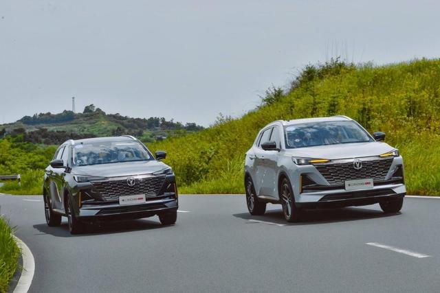 盘点11月卖得最好的十款车，奇瑞、名爵、比亚迪都要起飞了？