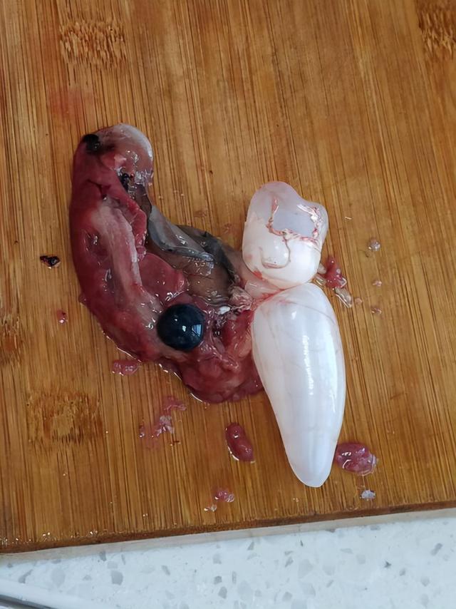 这4种鱼或会影响健康，提醒家里人最好少吃、少买