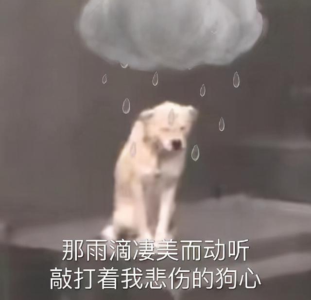 同样是更新，为何微信广受好评，苹果深受唾骂，网友：实际点